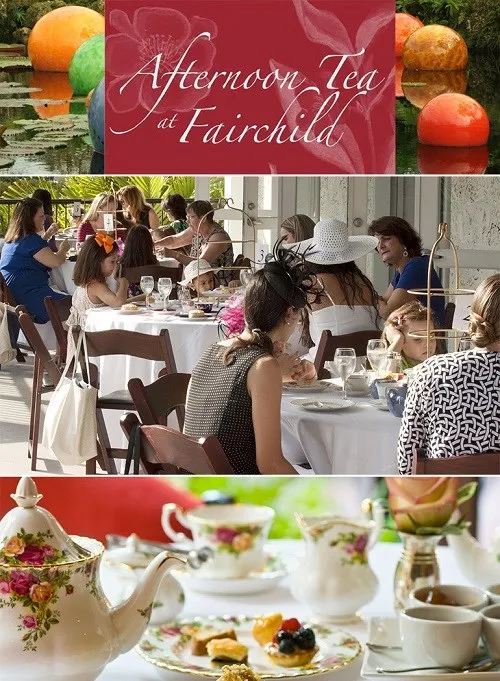 Afternoon Tea at Fairchild Gardens: Your guide to high tea glory!