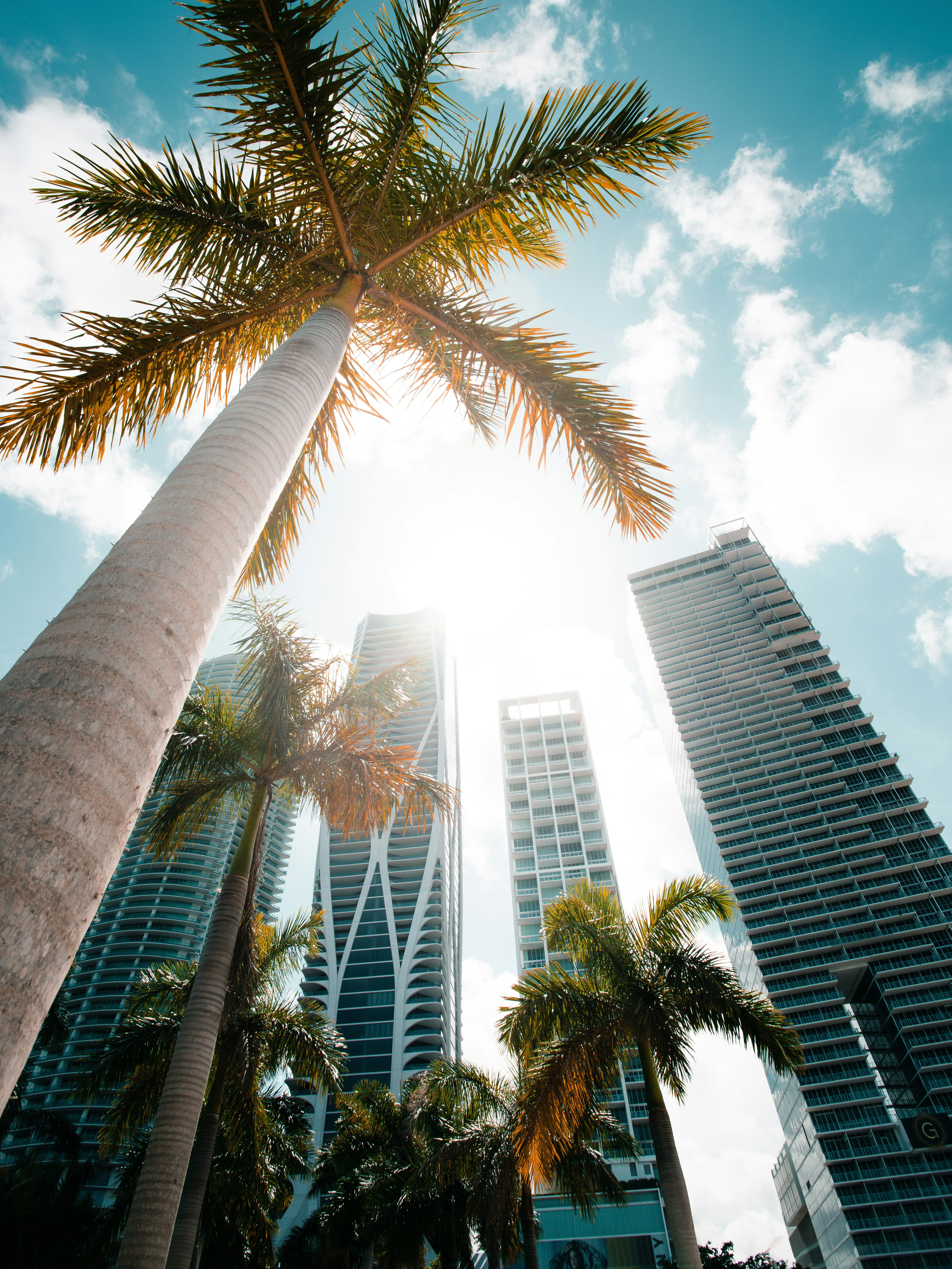Annual Highlights + Q4 2023 Luxury Condo Market Summary: Stable Growth with Positive Outlook