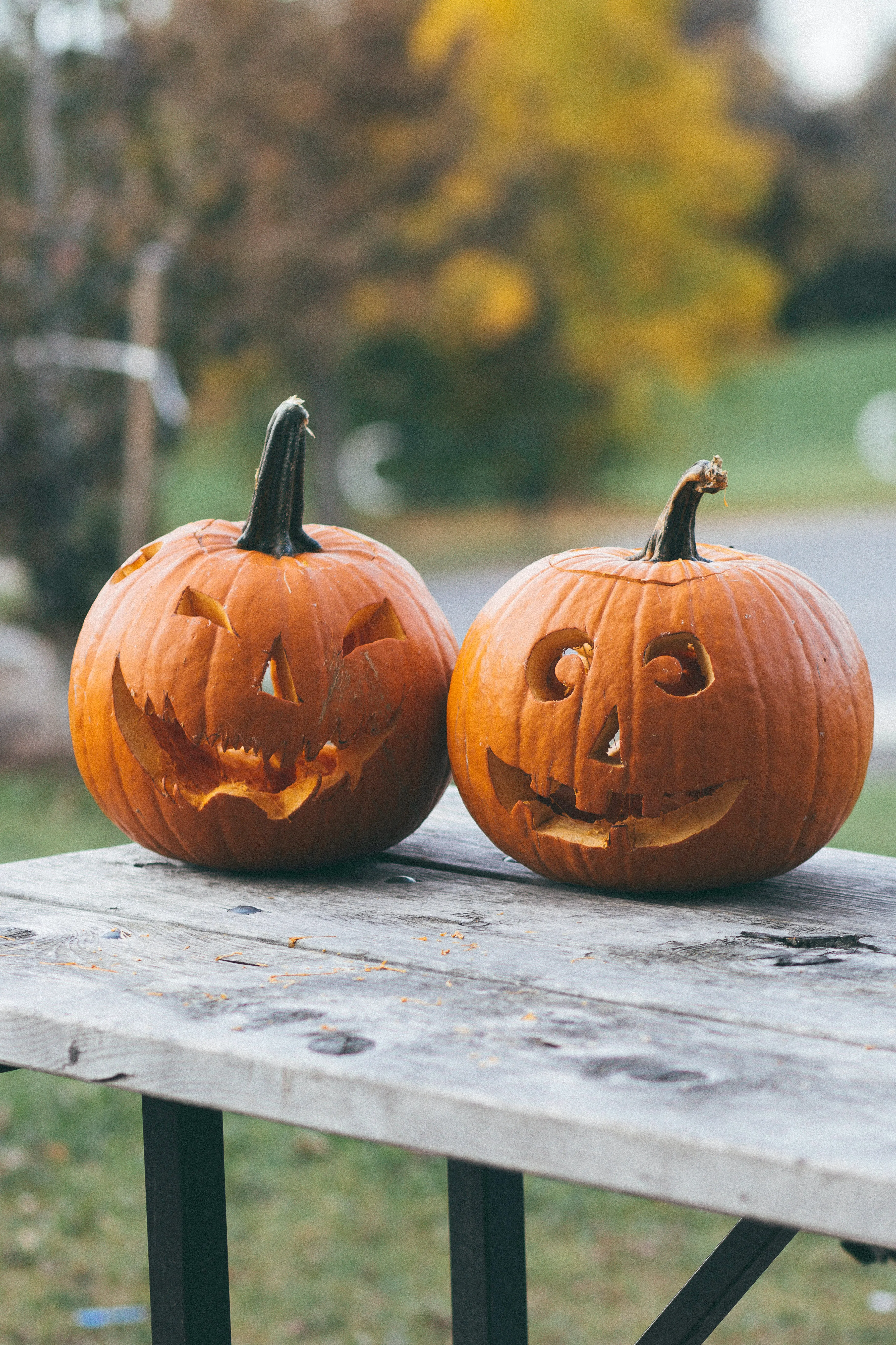 Fort Lauderdale’s October Events 2021: Get Your Pumpkin Spice On + A Shrieking Good Halloween