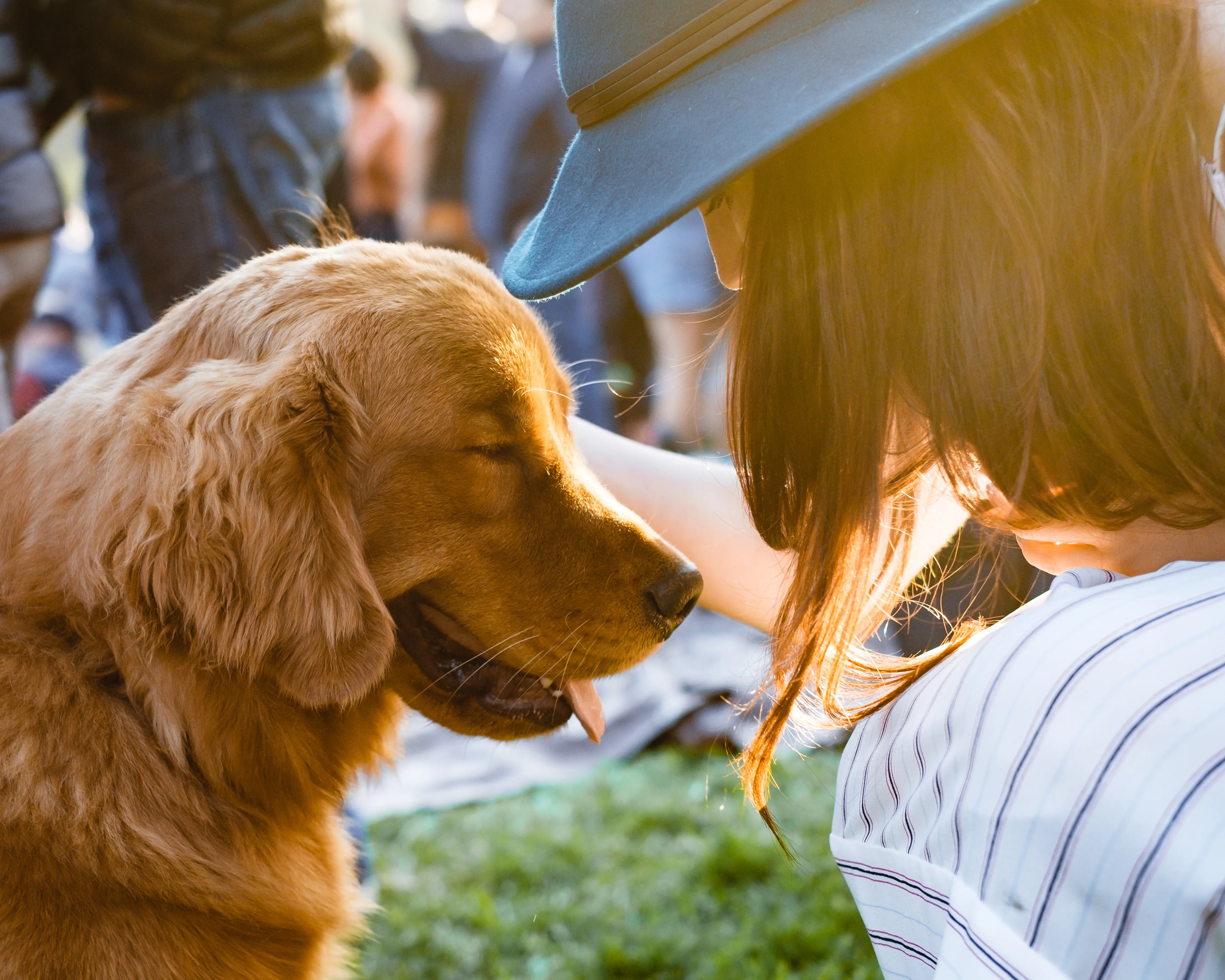 Guide to Miami’s Most Pet-Friendly Neighborhoods and Condos