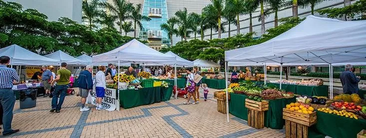Guide to Miami’s Top Farmers’ Markets