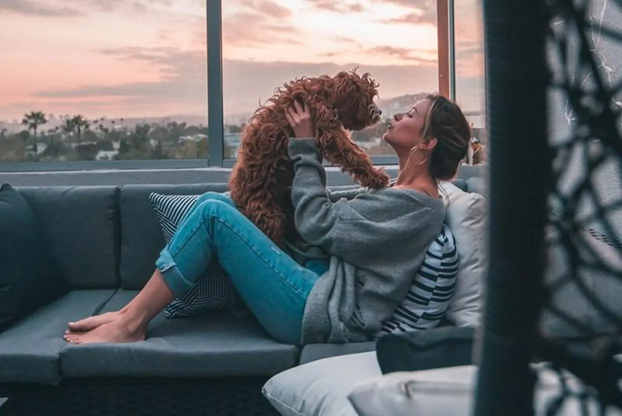 Ley sobre animales de apoyo emocional de Florida: propietarios y residentes de condos con perros o gatos de apoyo emocional