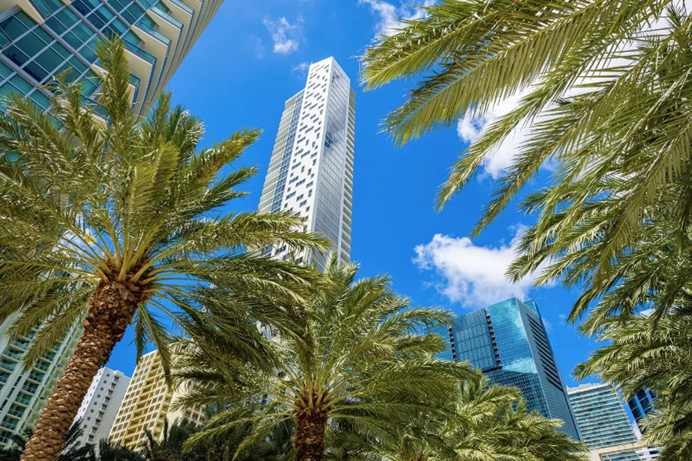 Miami Neighborhood Comparison: Downtown Miami vs Brickell