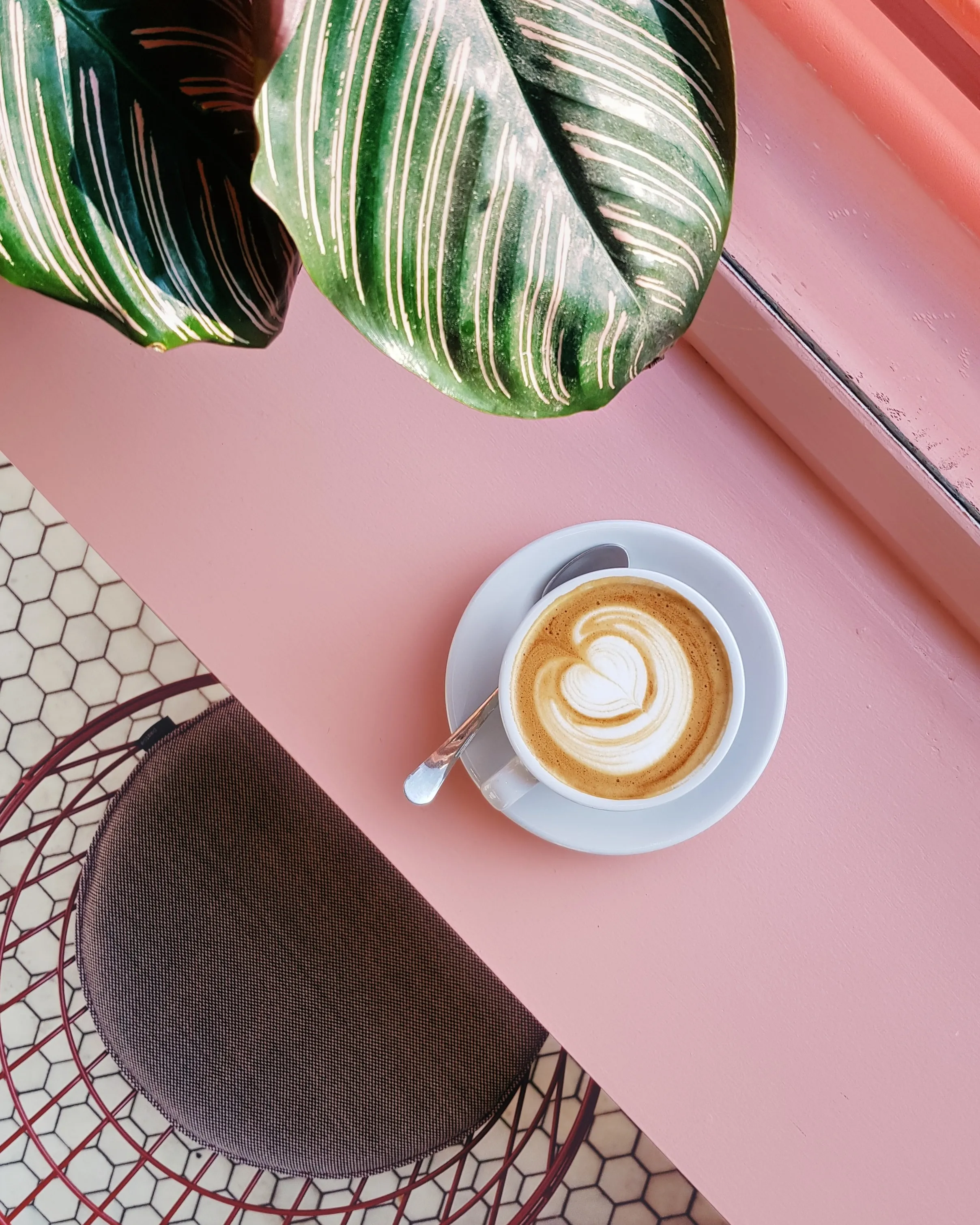 Miami’s Best Coffee Shops 2022