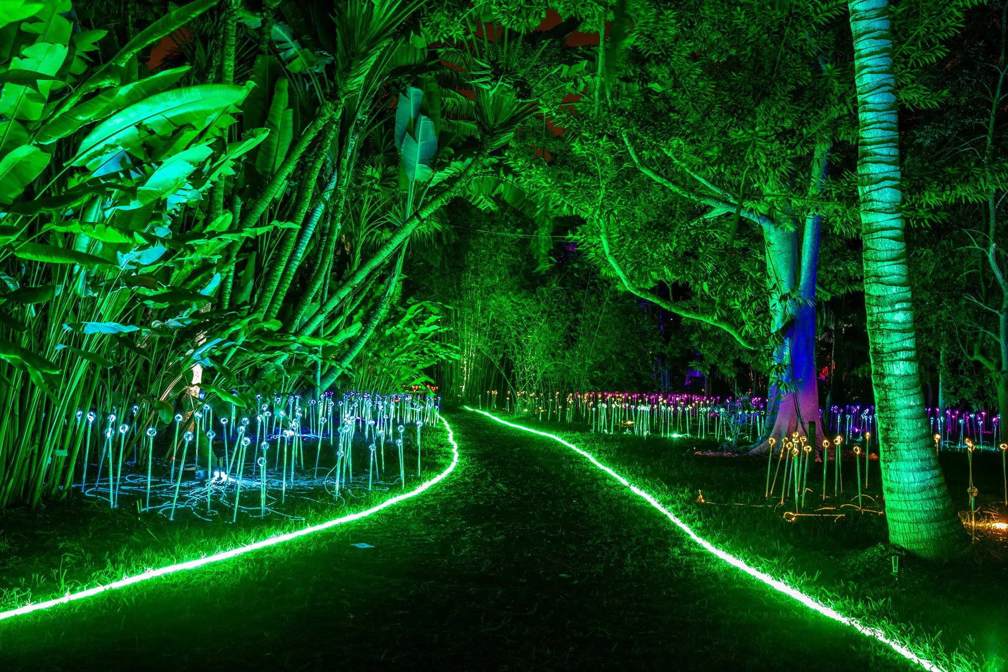 Miami’s Can’t-Miss November, Thanksgiving and pre-Christmas Event List