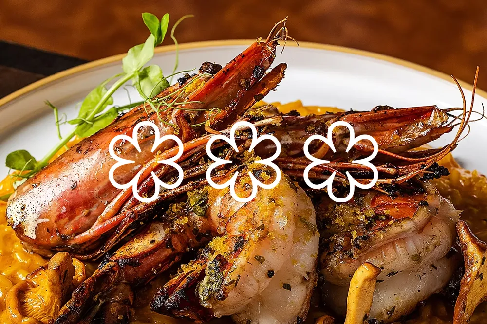 Michelin Guide Adds 6 New Miami Restaurants in 2025