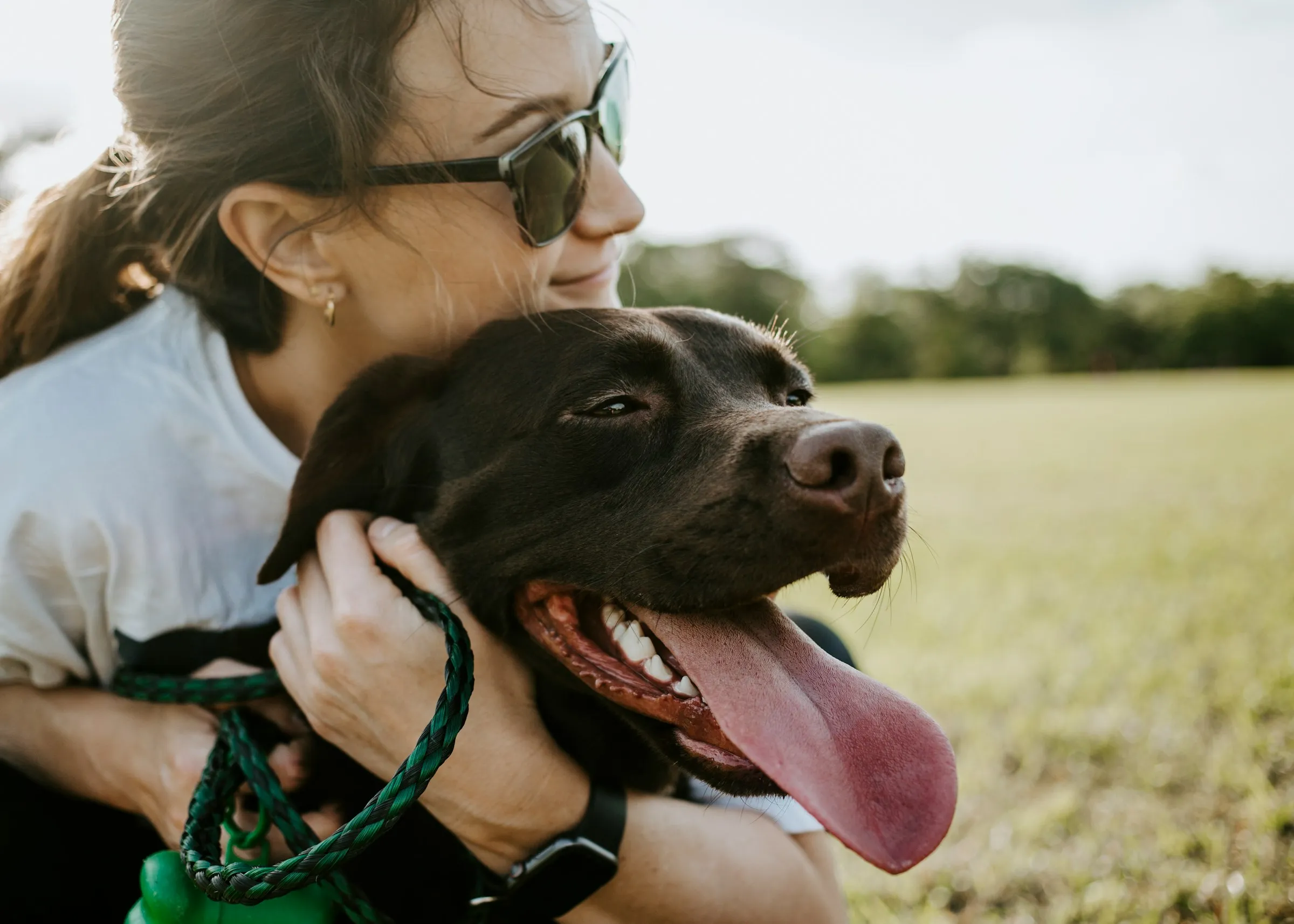 New Emotional Support Animal (ESA) Law Florida: Complete Condo Guide
