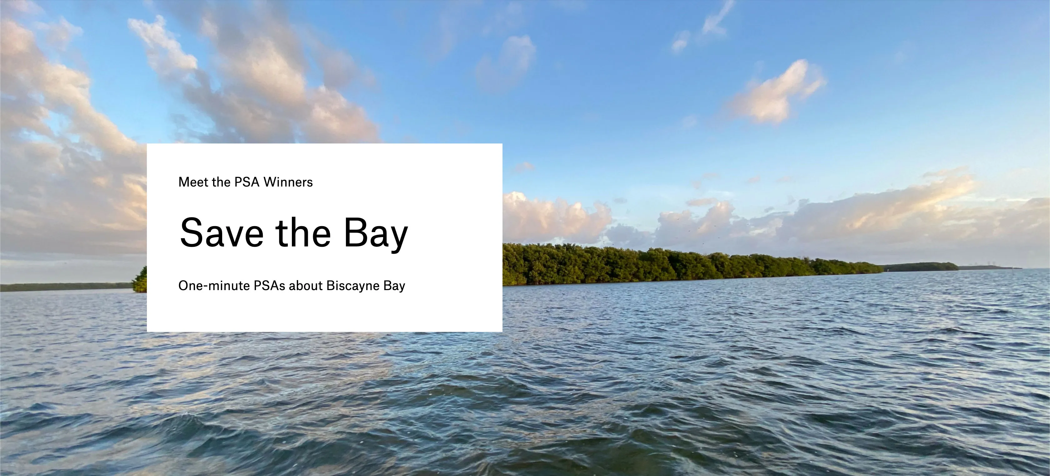 Oolite Arts’ Save the Bay Initiative Commissions Miami Filmmakers to Help Preserve Biscayne Bay