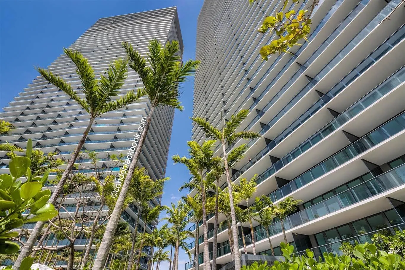 Paraiso Bay Condo Launch Sneak Preview (Photo Blog)