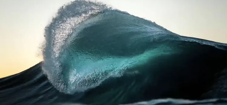 ReefLine: Art & Nature Meet Under the Sea in Miami Beach