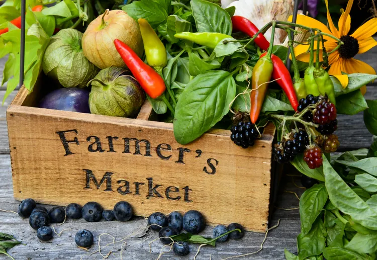The 5 Must-Visit Miami Farmers' Markets