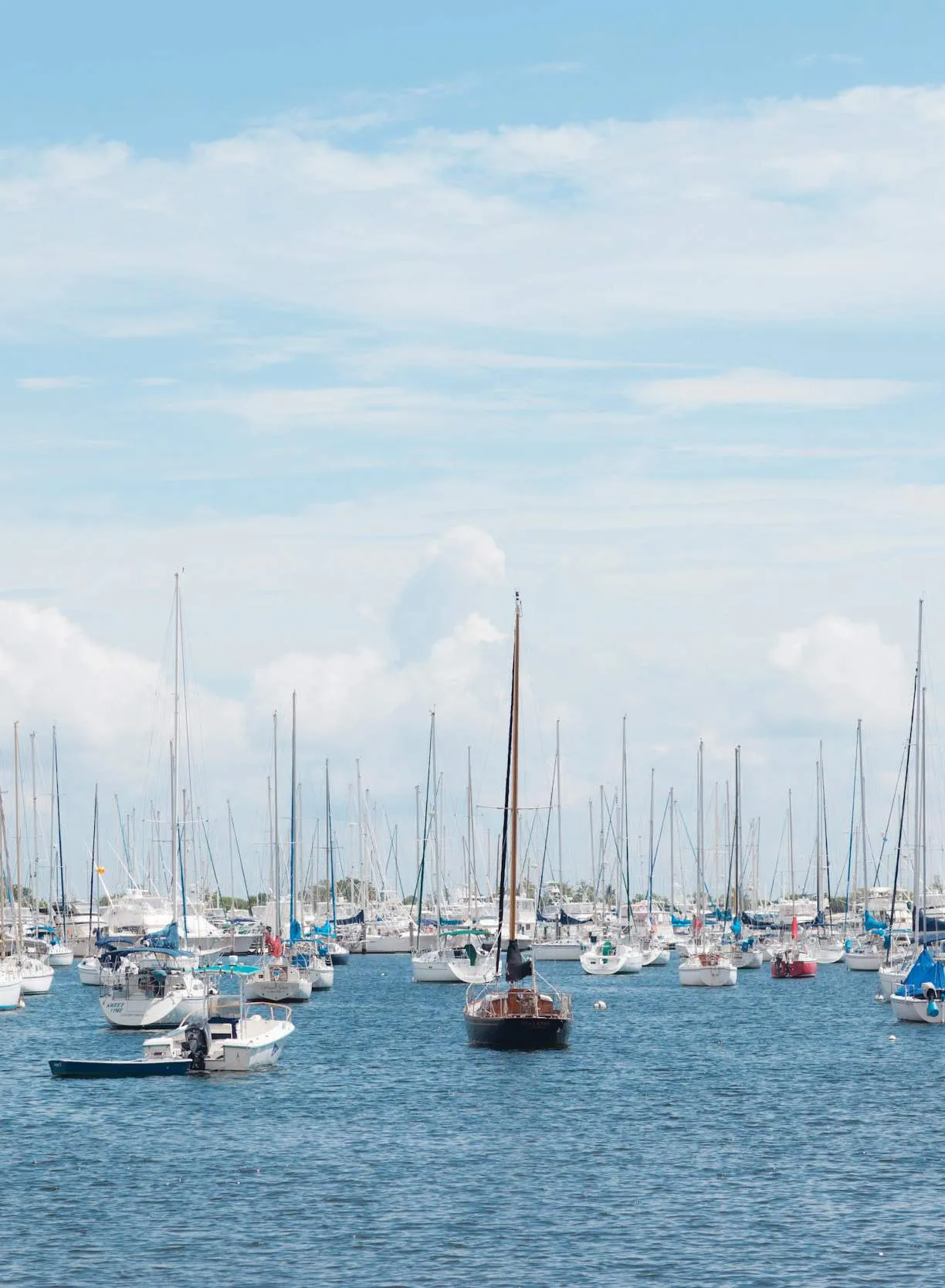 Top Coconut Grove Condos for Boaters