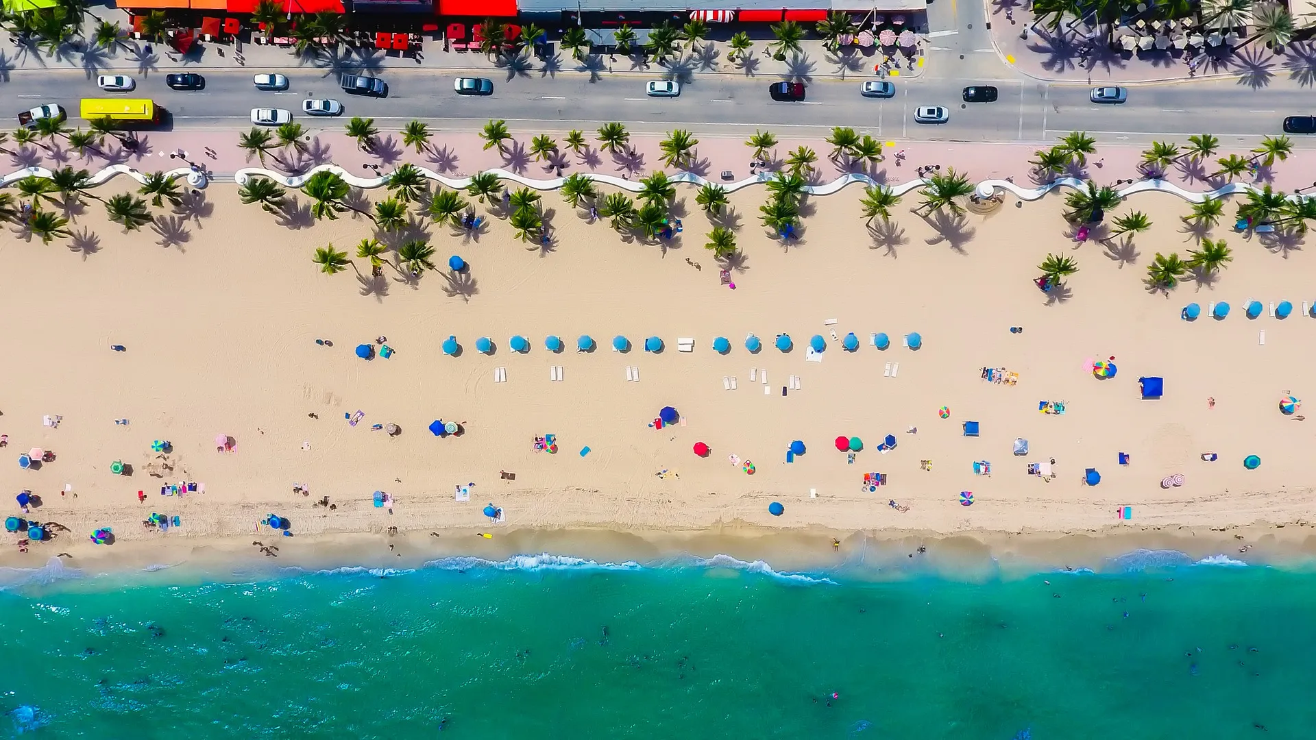 Top Things to Do in Fort Lauderdale January 2022: The Best Events