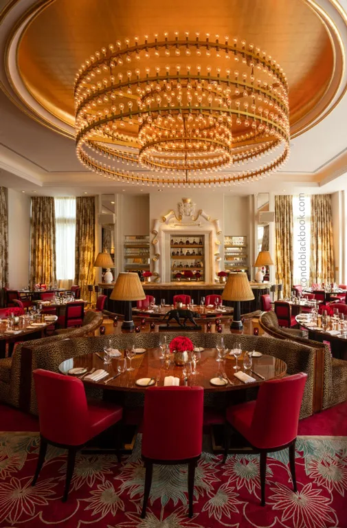 Faena Hotel Residences image #21