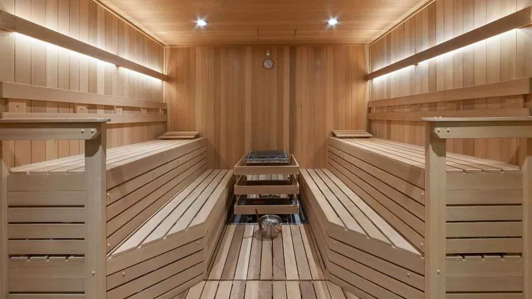 Monarc at Met 3 image #18