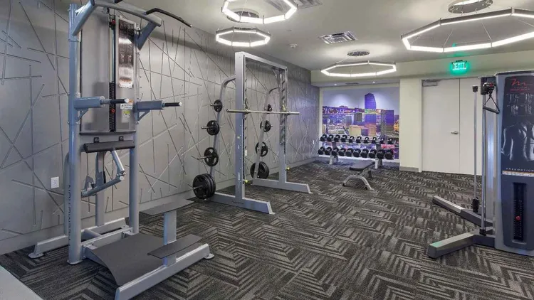 Monarc at Met 3 image #22