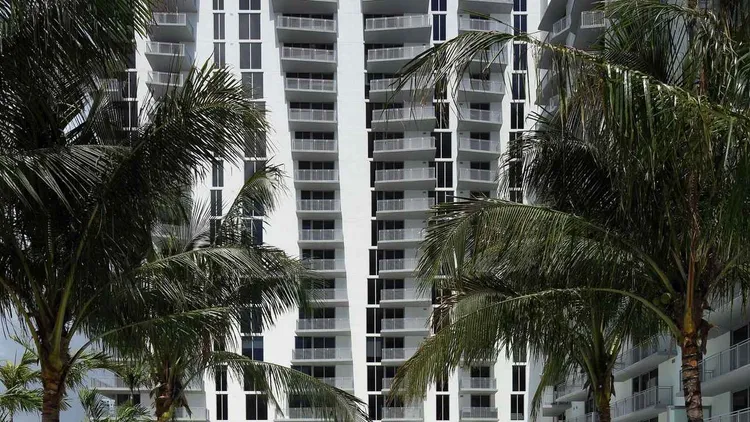 Monarc at Met 3 image #6