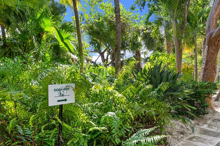 Santa Maria image #14