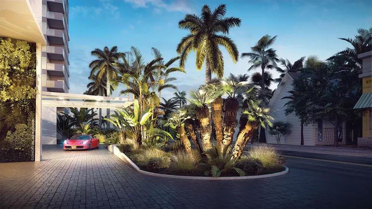 Sophie Bay Harbor image #4