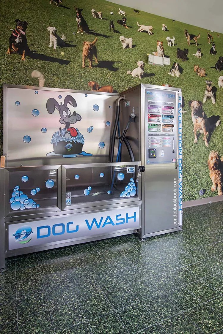 BroadStone Brickell image #13