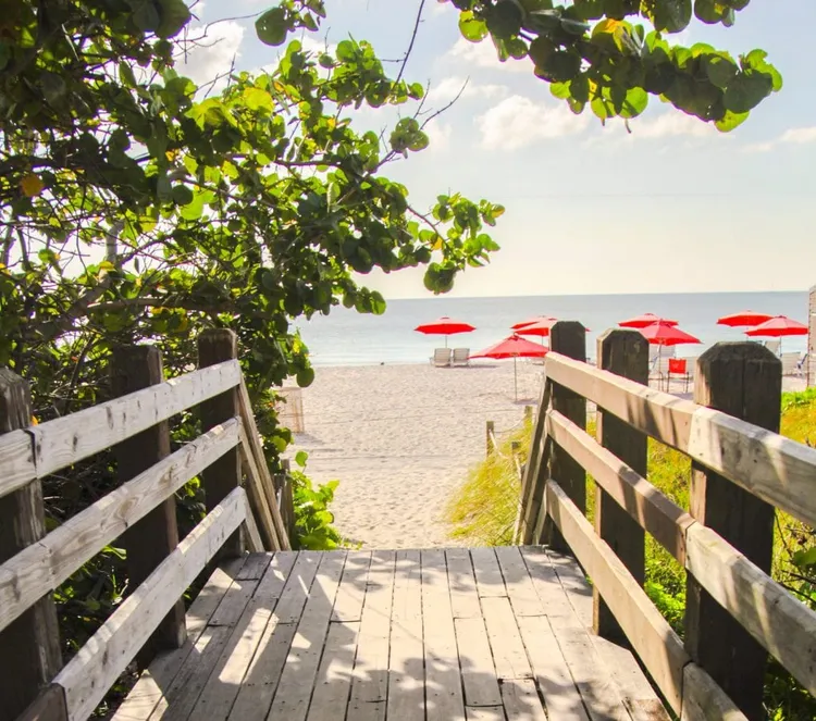 Ocean Spray image #10