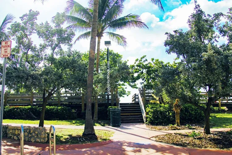 Ocean Spray image #11