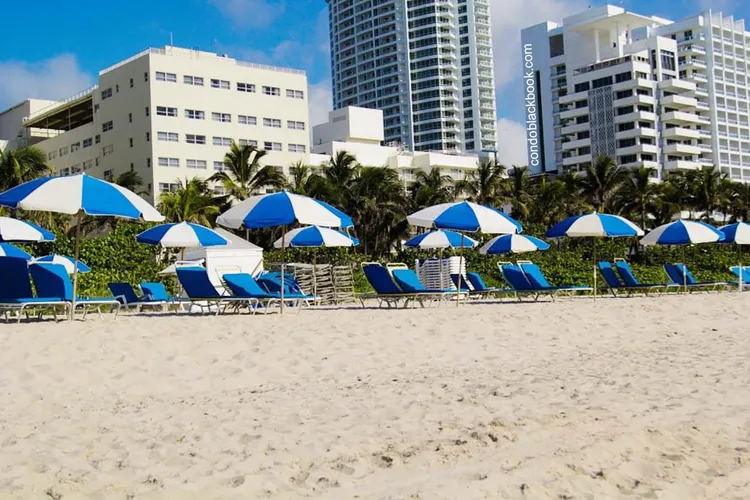 Ocean Spray image #12