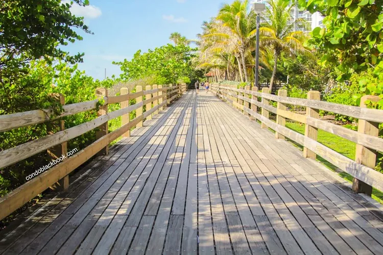 Ocean Spray image #13