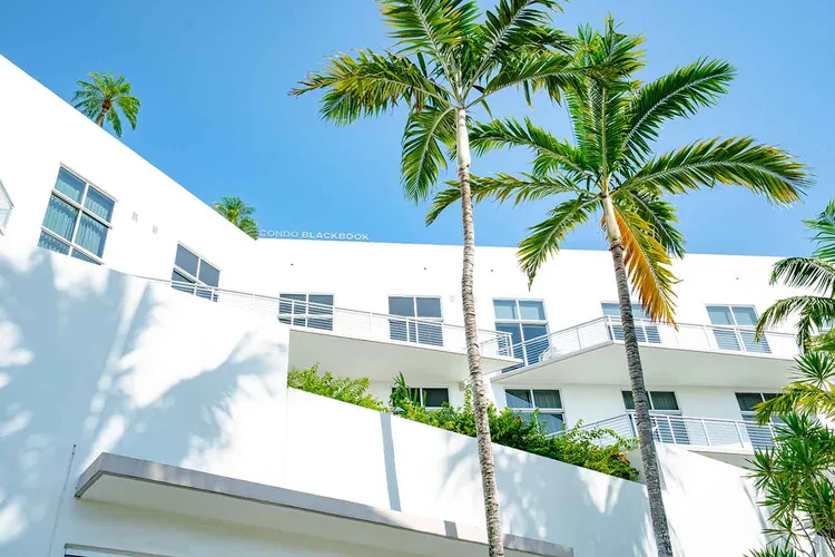 The Meridian Lofts image #6