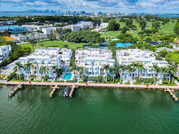 Iris on the Bay image #1