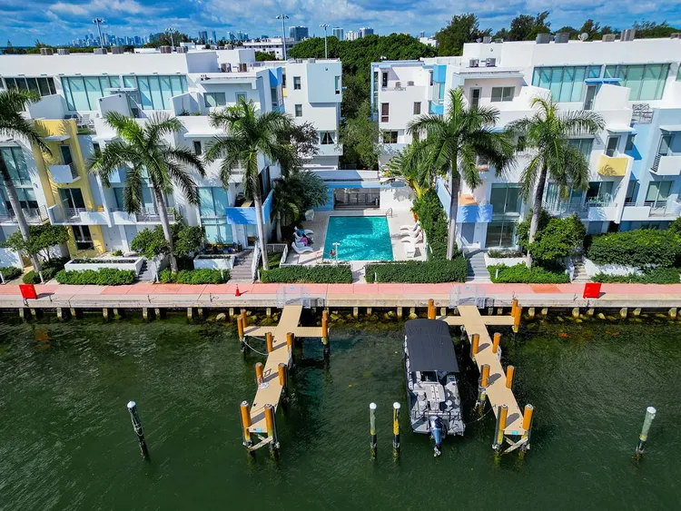 Iris on the Bay image #3