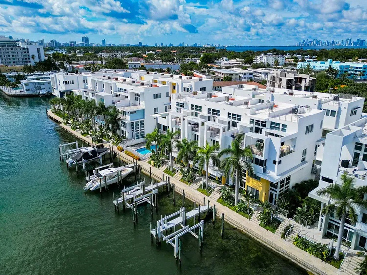 Iris on the Bay image #4