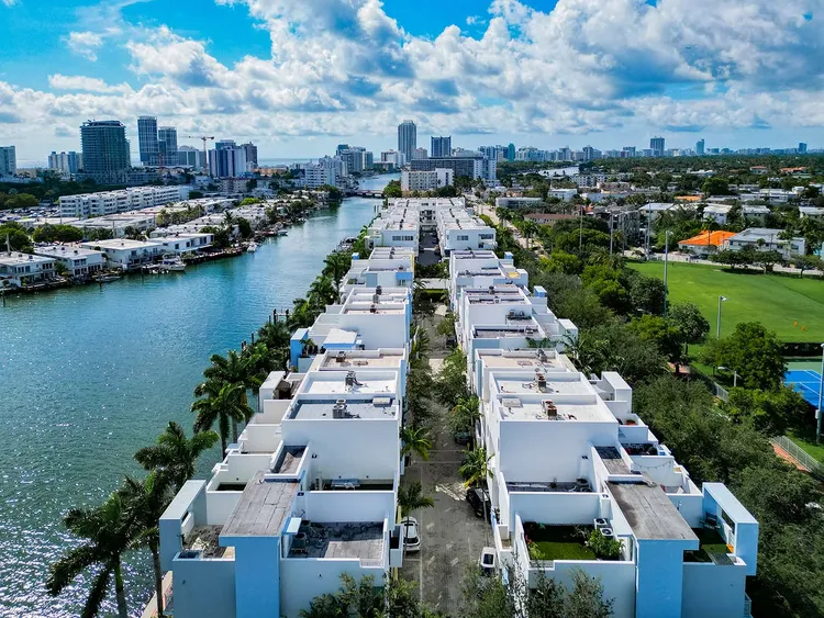 Iris on the Bay image #5