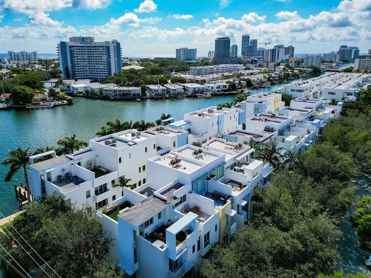 Iris on the Bay image #6