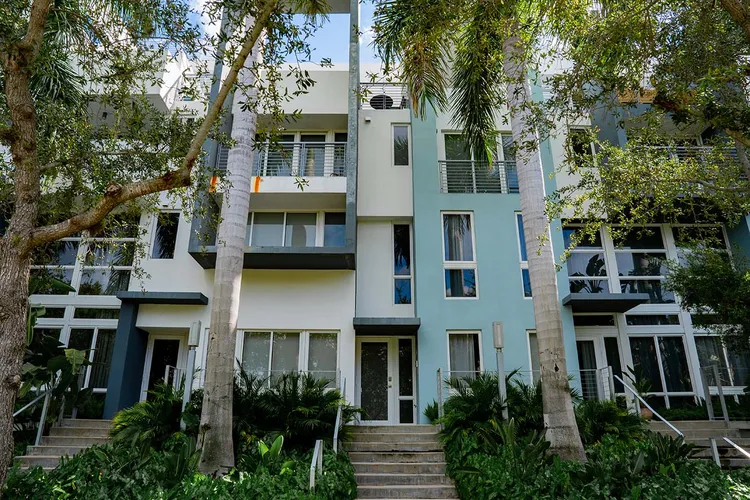 Iris on the Bay image #8