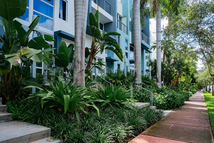 Iris on the Bay image #9