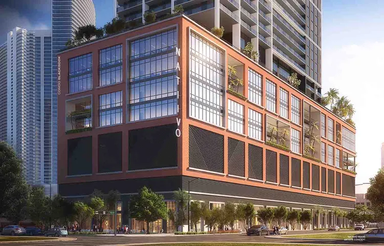 Natiivo Miami image #18