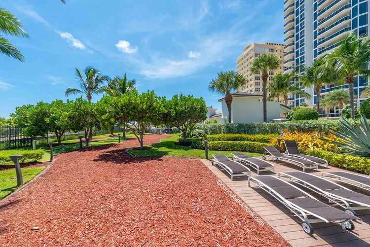 Blue Diamond image #11