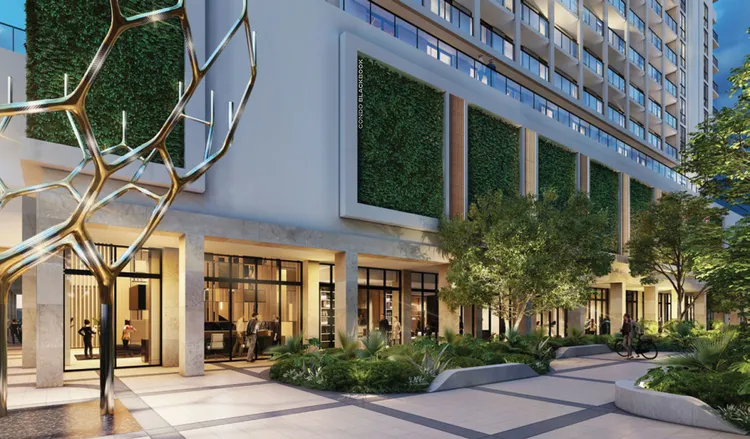 Cassia Miami image #5