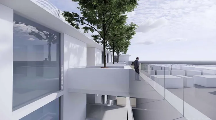 Entourage in the Sun image #9