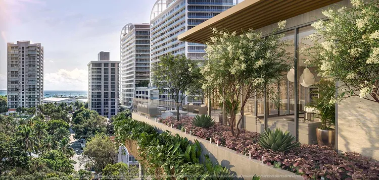 Opus Coconut Grove image #13