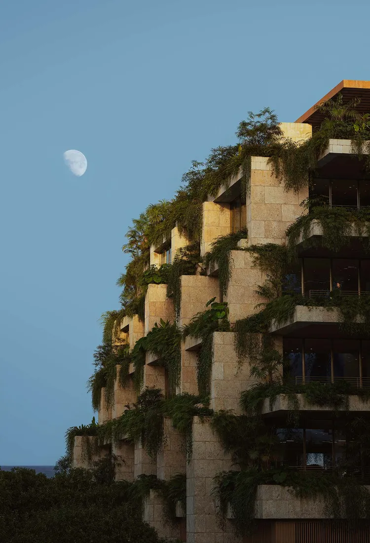 Ziggurat Coconut Grove image #4