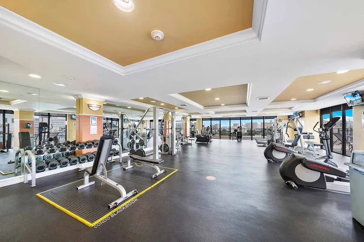 Puerta De Palmas image #10