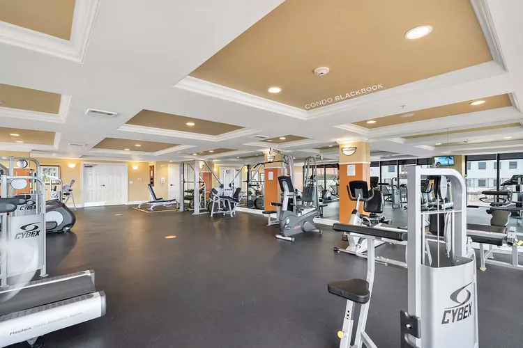 Puerta De Palmas image #11