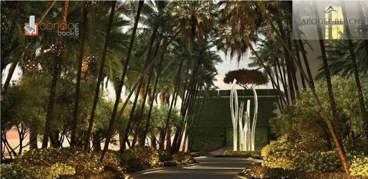 Apogee Beach image #3