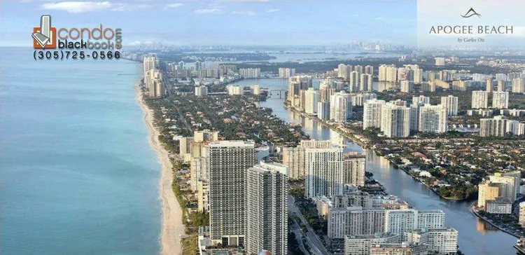 Apogee Beach image #6