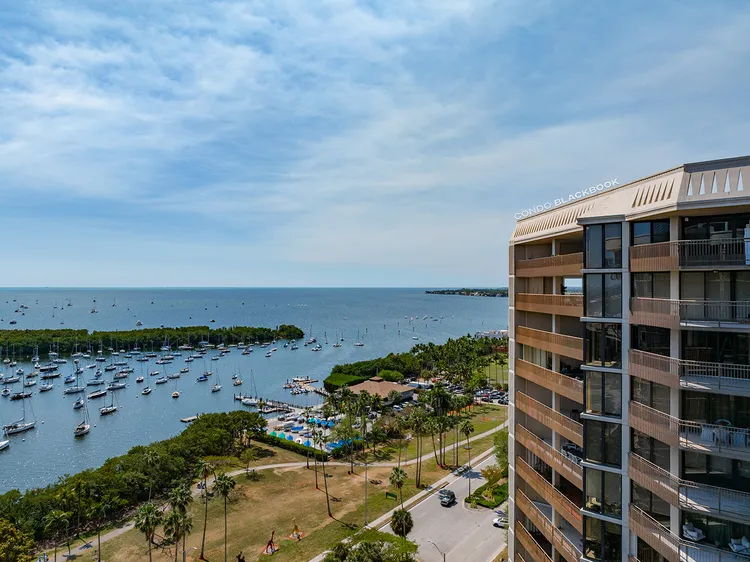 Yacht Harbour image #2