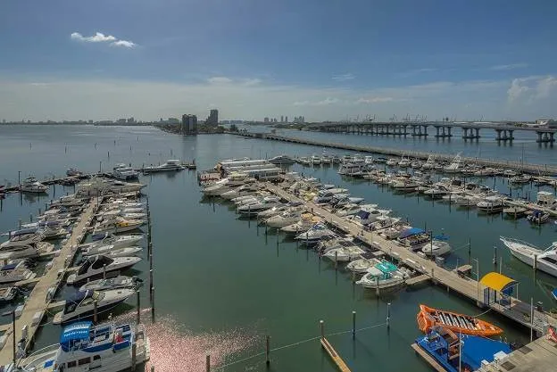 The Venetia image #16