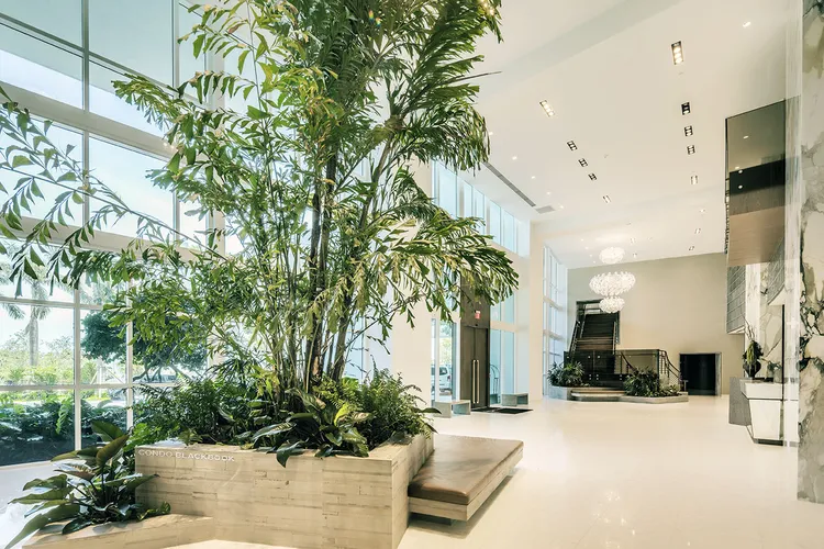 Paramount Bay image #18