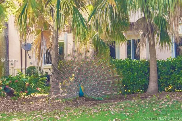 Milano Condo at Deering Bay #901 image #6